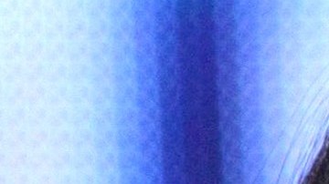 Gala Montes niega reconciliación con su madre.