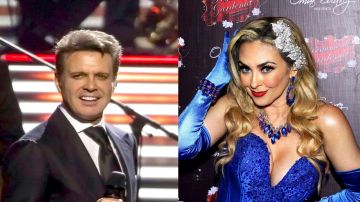 Aracely Arámbula y Luis Miguel tiene dos hijos juntos.