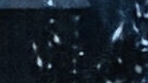 Ernestina Sodi era hermana de Thalía.