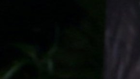 Hija de Adamari López, tiene sus ojos en su futuro profesional.