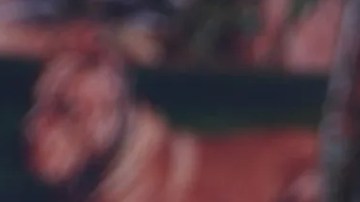 Britney Spears y su hijo menor se habrían acercado.