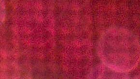 Chiquis Rivera habló sobre su relación con Rosie Rivera.