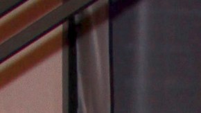 Hermano de Daniel Bisogno reveló qué enfermedad tiene el presentador.