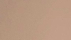 Gaby Spanic habló sobre Thalía.