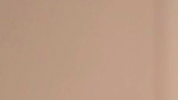 Gaby Spanic habló sobre Thalía.