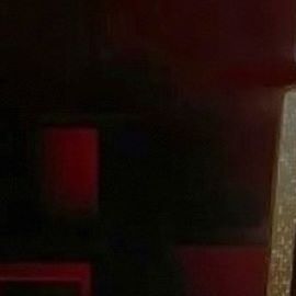 Galilea Montijo quiere convertirse en madre.