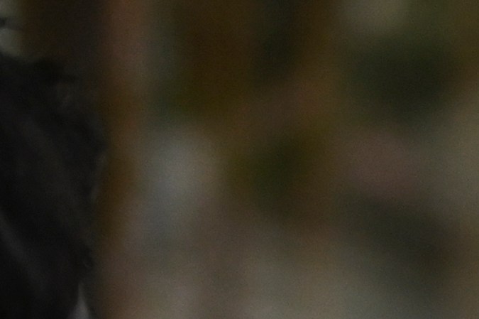 Geoff Payne, padre de Liam Payne, se despide de los fans del cantante para tya regresar a Inglaterra.