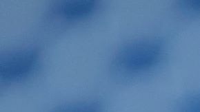 Jennifer López acompañó a Kamala Harris en un evento.