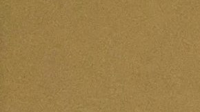 Elon Musk criticó a Jennifer López