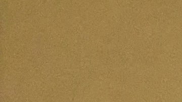 Elon Musk criticó a Jennifer López