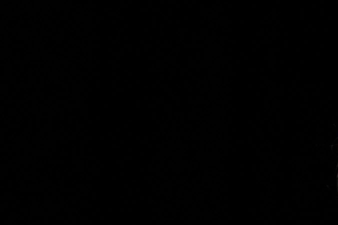 Kamala Harris es candidata presidencial de Estados Unidos.