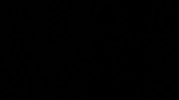 Kamala Harris es candidata presidencial de Estados Unidos.