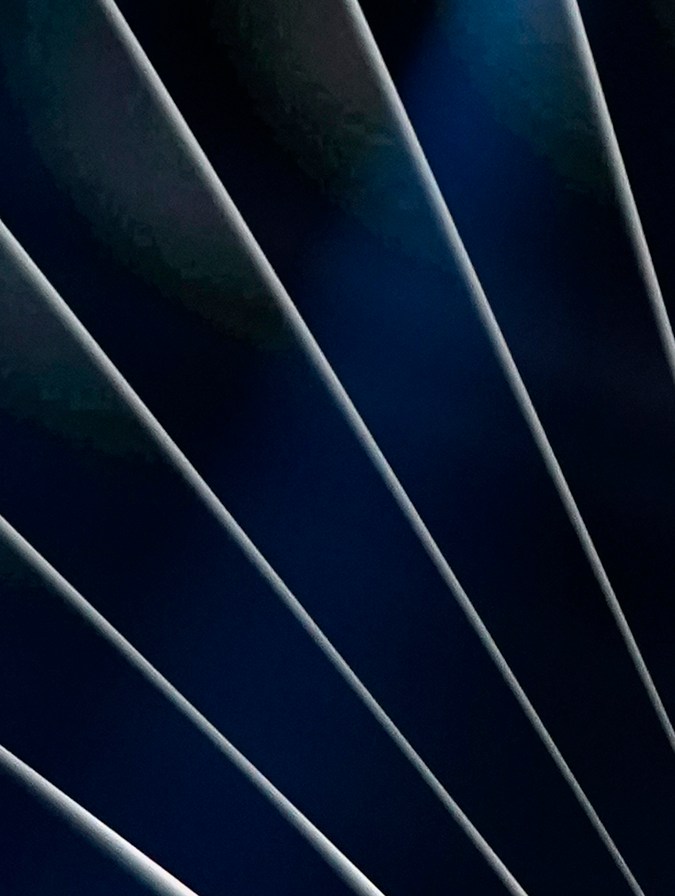 Los Latin Grammy se celebraron en 2020 pese a la pandemia por COVID-19.