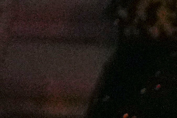 Logina Salah, Miss Egipto, sufre de vitiligo.