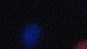 Victoria Kjær Theilvig