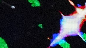 Miss Universo tiene nueva reina y es Victoria Kjaer, Miss Dinamarca.