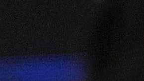 Miss Universo premió a otras candidatas del certamen con títulos de reinas.