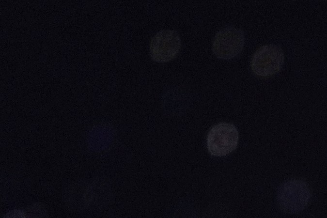 Miss Universo premió a otras candidatas del certamen con títulos de reinas.