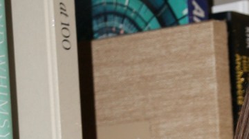 Ninel Conde aparece muy cariñosa con su joven esposo.