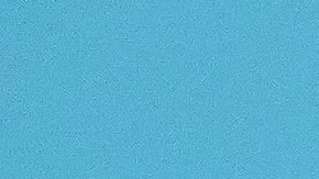 Peso Pluma ganó en los MTV EMAs 2024 en Reino Unido.