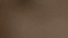 Reyes de España son atacados en Valencia.