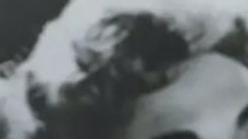 Silvia Pinal murió rodeada de sus familiares, según reportó la prensa mexicana.