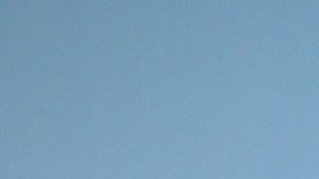 ¿William Levy tiene un romance con Miss Chile? La modelo habló.