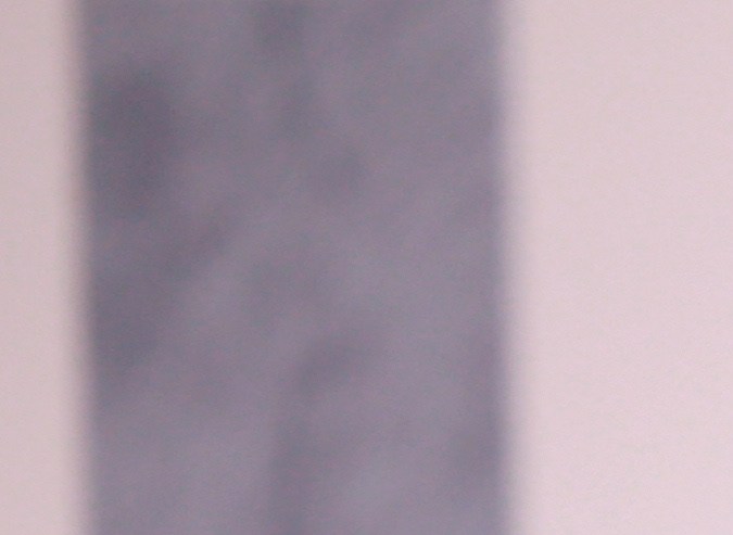 La música brasileña cobra protagonismo con un fallo que prohíbe la difusión de una canción de Adele en todo el mundo.