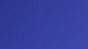 Alicia Machado en una alfombra roja