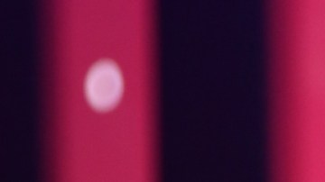 Daddy Yankee demandó a su esposa por presunto desfalco millonario.