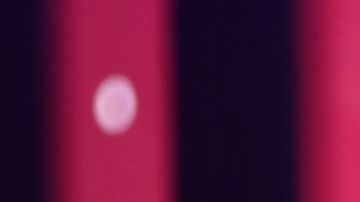 El romántico video de Daddy Yankee y Mireddys sobre su aniversario 28.