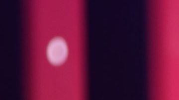 El romántico video de Daddy Yankee y Mireddys sobre su aniversario 28.