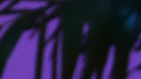 Esposa de Daddy Yankee es acusado por el abogado del cantante.