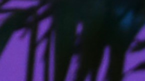 La historia de Daddy Yankee y Mireddys González se acabó.