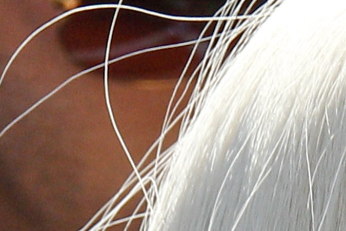 Donatella Versace aparece con un look renovado y más natural. Mira las fotos que han causado revuelo en redes.