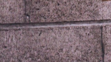 La razón por la que Eugenio Derbez decidió hacer una pausa laboral en 2025.