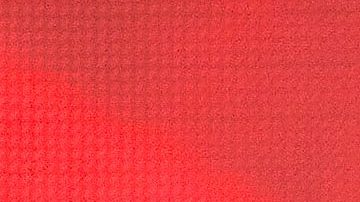 A 12 años de su muerte, las teorías sobre Jenni Rivera siguen dando de qué hablar. ¿Qué se dice del FBI y el crimen organizado?