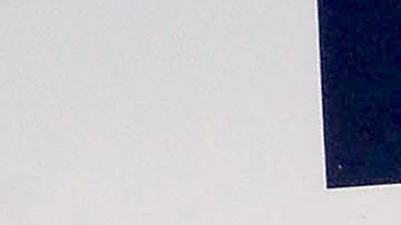 Raphael en alfombra rosa