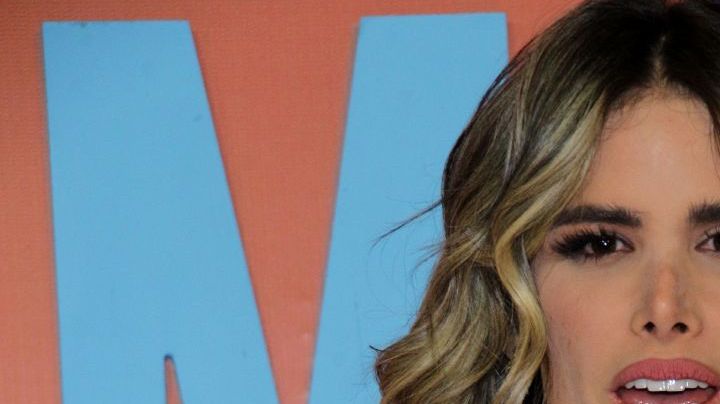 Marie Claire Harp no quiere regresar con José Manuel Figueroa.