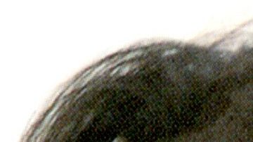 ¿Libertad condicional para Yolanda Saldívar en 2025? Conoce los detalles sobre el caso que conmocionó al mundo de la música.