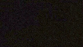 Efigenia Ramos, asistente de Silvia Pinal, heredó a Cosita, la fiel compañera de la actriz. Conoce todos los detalles.