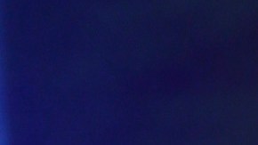 Toni Costa habla sobre su nueva novia, Mimi Ortiz. Descubre cómo surgió el amor en el reality 'Mira Quién Baila' Costa Rica.