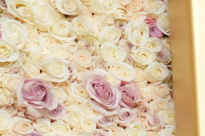 Allison Janney impacta en los Golden Globe 2025 con un audaz vestido azul eléctrico de hombros descubiertos, mostrando su personalidad única.