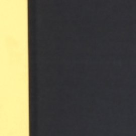 Amanda Dudamel se comprometió: ¿Cuándo se casa?