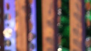 Andrea Meza se casó con Ryan Proctor.