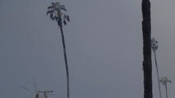 Famosos afectados por los incendios de Los Ángeles.