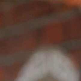 ¿Sabías que dos actores de La historia de Juana son tío y sobrino en la vida real? Entérate de más aquí.