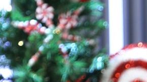 Carolina Sandoval y su impresionante cambio físico.