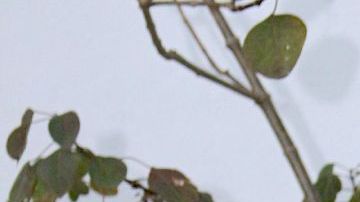 ¡Claudia Martín tiene nuevo novio! Mira de quién se trata.