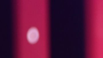 Esposa de Daddy Yankee asegura ser "hostigada" por el cantante y sus abogados.